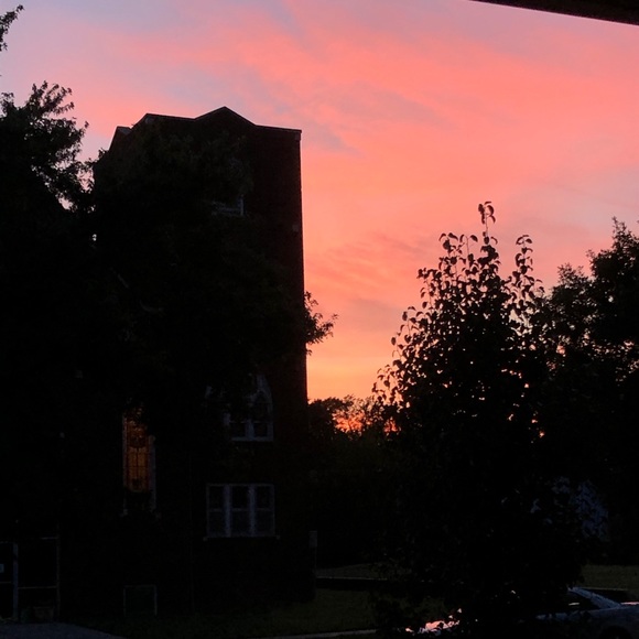 Meet your Posher, Clara - Picture 1 of 1